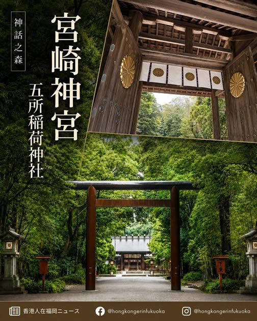 宮崎神宮 Miyazaki Jingu 神話之森與五所稻荷神社，木造鳥居、深綠參道與莊嚴神門展現宮崎神話聖地氣氛